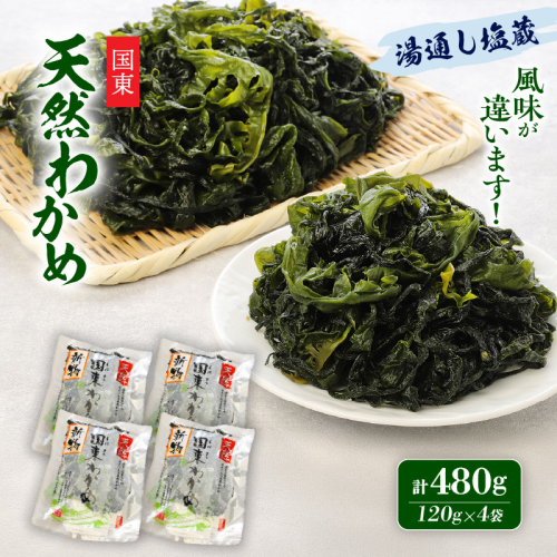 ＼テレビで紹介されました！／ 国東天然わかめ（湯通し塩蔵480g）_0078N-2 2860205 - 大分県国東市