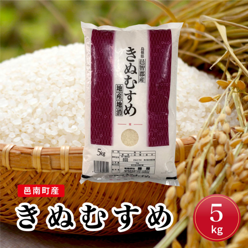  令和8年産 邑南町産きぬむすめ5kg 2860428 - 島根県邑南町