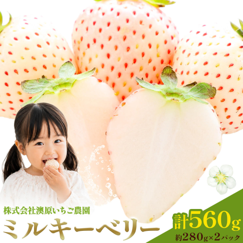 ミルキーベリー 約280g×2パック 計560g 株式会社澳原いちご農園《2026年12月下旬-2027年5月中旬頃出荷》栃木県 野木町 イチゴ 苺 朝摘み ミルキーベリー 果物 フルーツ スイーツ【配送不可地域あり】(沖縄・離島) 2860499 - 栃木県野木町