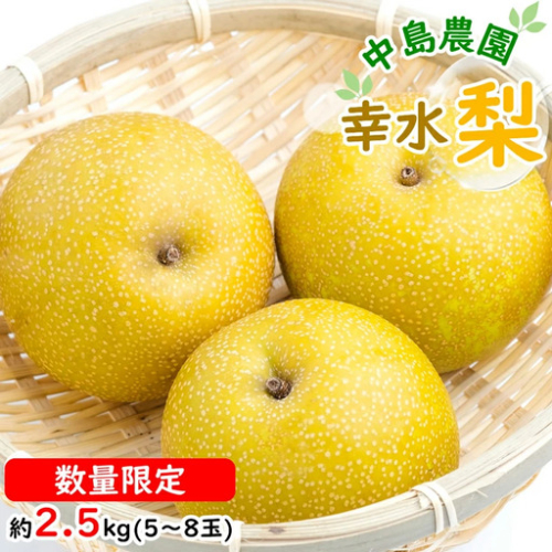 BH004 【令和9年度出荷分】【数量限定】 幸水梨 約2.5kg（5玉～8玉）[新鮮 農家直送 夏の味覚 フルーツ 贅沢宝庫 長崎県 島原市] 2860677 - 長崎県島原市