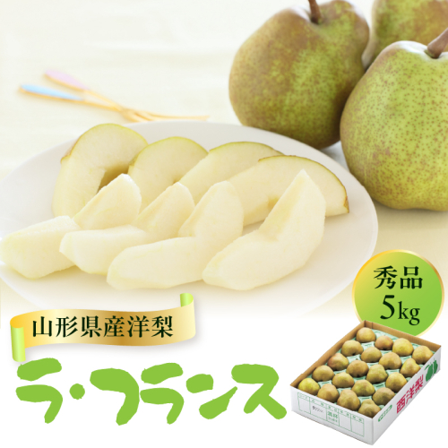 山形県産洋梨 ラ・フランス 秀品 約5kg【2026年11月上旬頃～発送予定】 063-026 2860944 - 山形県大江町