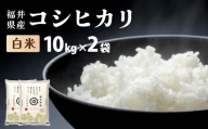 福井県産 コシヒカリ 精米 20kg(10kg×2袋)[令和8年産][米 コメ お米 精米 白米 無洗米 玄米 ご飯 飯 こしひかり ブランド米 国産][095-a629]