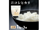 【定期便12回】福井県産 コシヒカリ 精米 3kg（1kg×3）＜令和8年産 / 数量限定 ＞【米 コメ お米 精米 白米 無洗米 玄米 ご飯 飯 こしひかり ブランド米 国産】[095-t12-a329]