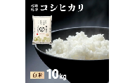 【定期便12回】福井県産 コシヒカリ 精米 10kg（10kg×1）＜令和8年産 / 数量限定 ＞【米 コメ お米 精米 白米 無洗米 玄米 ご飯 飯 こしひかり ブランド米 国産】[095-t12-a129]