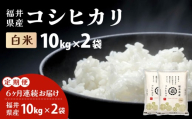 【定期便6回】福井県産 コシヒカリ 精米 20kg（10kg×2）＜令和8年産＞【米 コメ お米 精米 白米 無洗米 玄米 ご飯 飯 こしひかり ブランド米 国産】[095-t06-a629]
