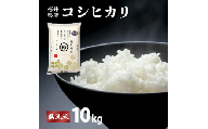 【定期便12回】福井県産 コシヒカリ 無洗米 10kg（10kg×1）＜令和8年産 / 数量限定 ＞【米 コメ お米 精米 白米 無洗米 玄米 ご飯 飯 こしひかり ブランド米 国産】[095-t12-a131]