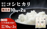 【定期便6回】福井県産 コシヒカリ 無洗米 20kg（10kg×2）＜令和8年産＞【米 コメ お米 精米 白米 無洗米 玄米 ご飯 飯 こしひかり ブランド米 国産】[095-t06-a631]