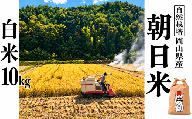 新米 令和８年産 【先行予約】 瀬戸内 自然栽培米 「朝日」白米 10kg  無農薬 無肥料  米 自然栽培 こめ 岡山県 瀬戸内市 さしすせそ
