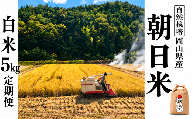 新米 令和８年産 【先行予約】 瀬戸内 自然栽培米 「朝日」白米 5kg 定期便 6ヵ月 無農薬 無肥料  米 自然栽培 こめ 岡山県 瀬戸内市 さしすせそ