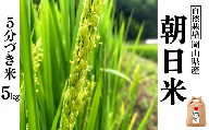 新米 令和８年産 【先行予約】 瀬戸内 自然栽培米 「朝日」５分づき 5kg  無農薬 無肥料  米 自然栽培 こめ 岡山県 瀬戸内市 さしすせそ