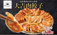 笑顔大吉ポーク 大吉肉餃子 12個入り×5パック 計60個 国産 豚肉 肉餃子 餃子 惣菜 おかず 中華 点心 晩酌 ご飯のお供 手軽 夕食 贈り物 ギフト ご当地 株式会社ヒラノ 千葉県 成田市