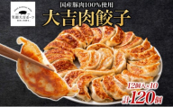 笑顔大吉ポーク 大吉肉餃子 12個入り×10パック 計120個 国産 豚肉 肉餃子 餃子 惣菜 おかず 中華 点心 晩酌 ご飯のお供 手軽 夕食 贈り物 ギフト ご当地 株式会社ヒラノ 千葉県 成田市
