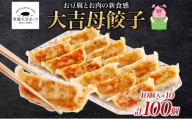 笑顔大吉ポーク 大吉母餃子 10個入り×10パック 計100個 国産 豚肉 肉餃子 餃子 惣菜 おかず ヘルシー 中華 点心 晩酌 ご飯のお供 手軽 夕食 贈り物 ギフト ご当地 株式会社ヒラノ 千葉県 成田市
