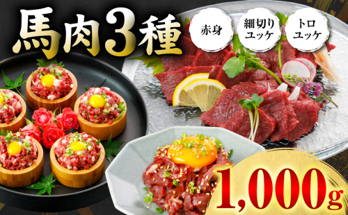 馬肉 3種1000g (赤身400g、トロユッケ300g、細切りユッケ300g) 馬 馬焼き レア ユッケ 冷凍 新感覚 特殊加工 熟成 加熱加工 低温調理 熊本県 八代市 2861872 - 熊本県八代市