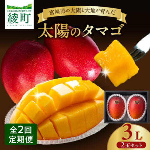 【全2回お届け】太陽のタマゴ 3L×2玉［T21］定期便 フルーツ 果物 くだもの 2027年 完熟マンゴー 国産 宮崎マンゴー マンゴージュース 南国フルーツ おすすめ デザート ギフト 贈り物 プレゼント 冷蔵 綾町 送料無料_A0113-011 2861884 - 宮崎県綾町