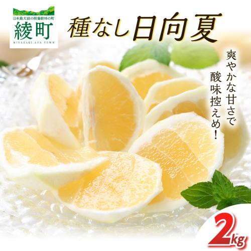先行受付 初春の旬 日向夏 種なし 2kg ［H20］ 果物 フルーツ くだもの 2027年 柑橘 みかん 国産 フルーツサンド ジュース おやつ スイーツ デザート ジャム さわやかな甘み おすすめ ギフト 贈り物 贈答 ご褒美 おすそ分け お返し 宮崎県 綾町 送料無料_A0113-012 2861885 - 宮崎県綾町