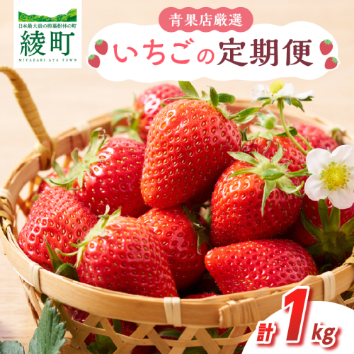 先行予約【全2回お届け】 いちご 定期便 合計1kg［I20］果物 フルーツ くだもの 2027年 青果 苺 イチゴ いちご大福 国産 おやつ スイーツ デザート おすすめ ジャム ジュース 甘い ジューシー ギフト おすそ分け 宮崎県 綾町 送料無料_A0113-013 2861886 - 宮崎県綾町
