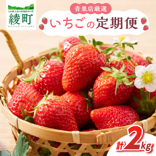先行予約【全2回お届け】 いちご 定期便 合計2kg［I21］果物 フルーツ くだもの 2027年 青果 苺 イチゴ いちご大福 国産 おやつ スイーツ デザート おすすめ ジャム ジュース 甘い ジューシー ギフト おすそ分け 宮崎県 綾町 送料無料_A0113-014 2861887 - 宮崎県綾町