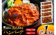 ハンバーグ 黒毛和牛 4種セット 1kg 生ハンバーグ 手ごね 国産豚 ソース付き 食べ比べ 冷凍 [ハンターズインク 兵庫県 三田市3d28bae490002] 生ハンバーグ 和牛 セット 国産素材 食べ比べ ジューシー ソース付き