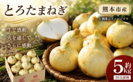 熊本市産 とろたまねぎ 約5kg （ 20玉前後 ） 玉ねぎ 塩玉ねぎ とろたま 野菜 甘み ジューシー 国産 熊本県産 旬の野菜 サラダ マリネ 炒め物 スープ 【 2027年3月下旬～5月下旬発送予定 】