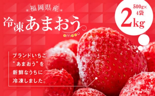 福岡県産 冷凍 あまおう 合計2kg (500g×4袋) いちご 苺 フルーツ