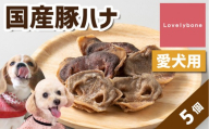 精肉店がこだわった　犬のおやつ【一頭に一つだけの超希少部位】国産豚ハナ　5個　無添加 お肉屋さん　手作り　犬のおやつ　Lovelybone