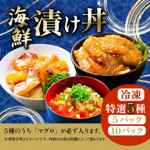 季節の海鮮漬け丼 おまかせ5種セット 10パック マグロ 鮪 [SZRY] [AU137ya] 2862256 - 茨城県八千代町
