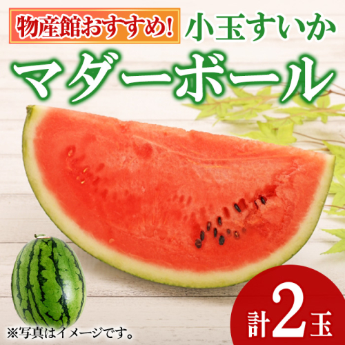 【0075941a】《先行予約受付中！2027年5月以降発送》物産館おススメ！東串良町産小玉スイカ(マダーボール)(2玉) スイカ 小玉 小玉スイカ 小玉すいか すいか 西瓜 果物 フルーツ マダーボール 【東串良物産館ルピノンの里】 2862623 - 鹿児島県東串良町