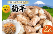 菊芋 掘りたて生菊芋 農薬化学肥料不使用 国産 期間限定 2.8kg [にこにこファーム 山梨県 韮崎市 20745659] 生 きくいも キクイモ イモ 芋 赤菊芋 掘りたて 新鮮 健康 無農薬 化学肥料不使用 野菜 根菜 国産 イヌリン 菊芋チップス サラダ スープ きんぴら