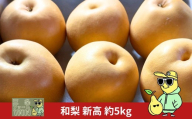 和梨 新高 約5kg 秀品 令和8年度 新潟フルーツ 新潟県産 梨 [三条ファームWIN] 【017S182】