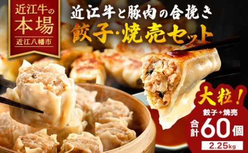 近江牛と豚肉の合挽餃子と焼売セット【HH01W】（滋賀県　近江八幡市） 2862929 - 滋賀県近江八幡市
