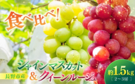 【2027年9月中旬～10月中旬発送　先行予約】【セット】シャインマスカット＆クイーンルージュ(R) 1.5kg 2-3房 |  シャインマスカット クイーンルージュ ぶどう フルーツ 果物 セット 食べ比べ  人気 おすすめ ギフト プレゼント 送料無料 長野県 長野市 信州 信濃 ふるさと納税