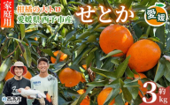 ＜家庭用 せとか 約3kg＞『2027年2月中旬～3月上旬に順次出荷予定』 セトカ 訳あり 自宅用 柑橘の大トロ コク旨み 薄皮 濃い甘み 愛媛 柑橘 果物 くだもの フルーツ ミカン みかん 蜜柑 濃厚 高級柑橘 国産 特産品 とりこ農園 愛媛県 西予市【常温】