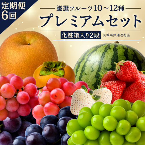 定期便【化粧箱入り2段】厳選フルーツ10〜12種プレミアムセット【毎月1回連続6か月(計6回)】（茨城県共通返礼品） 田舎の頑固おやじが厳選！ 人気 厳選 果物 くだもの 旬 旬の果物 旬のフルーツ 上級品 極上 贅沢 極み フルーツ フルーツセット ギフト プレゼント 贈り物 冷蔵 [BI489-NT] 2863246 - 茨城県つくばみらい市