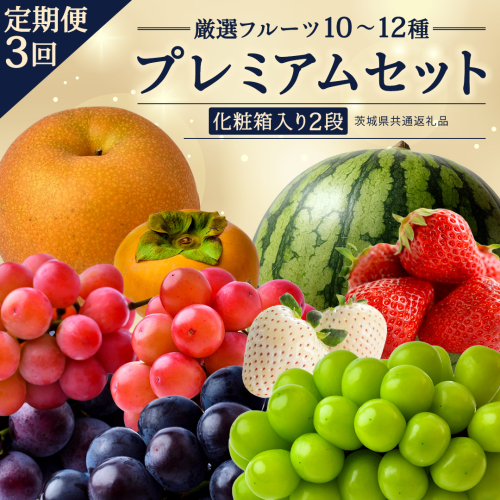定期便【化粧箱入り2段】厳選フルーツ10〜12種プレミアムセット【毎月1回連続3か月(計3回)】（茨城県共通返礼品） 田舎の頑固おやじが厳選！ 人気 厳選 果物 くだもの 旬 旬の果物 旬のフルーツ 上級品 極上 贅沢 極み フルーツ フルーツセット ギフト プレゼント 贈り物 冷蔵 [BI490-NT] 2863248 - 茨城県つくばみらい市
