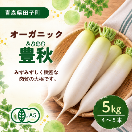 やまもと農産の大根 『豊秋』 5kg 2863563 - 青森県田子町
