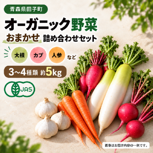 やまもと農産のオーガニック野菜詰め合わせ 約5kg 2863584 - 青森県田子町
