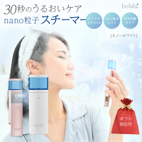 【ギフト対応可】美ルル モイスミスト（スノーホワイト） 美ルル モイスミスト ハンディミスト ナノ超微粒子 化粧水対応  携帯用 乾燥肌 毛穴ケア メイクの上から 保湿 [DD143-NT] 2863588 - 茨城県つくばみらい市