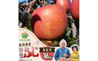 早生ふじ家庭用10kg【1789810】