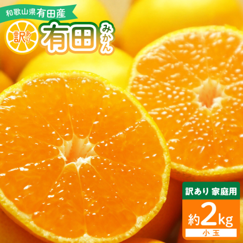 和歌山県産 有田みかん【訳あり 家庭用】約2kg 小玉 3S～Sサイズ おまかせ_DI6064 2863785 - 和歌山県湯浅町