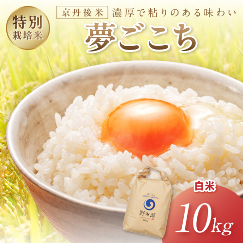 2026年産 京丹後米 特別栽培米夢ごこち10kg（白米） 農家直送 米 こめ ふるさと 納税 米 精米 新米 京都産 2863786 - 京都府京丹後市