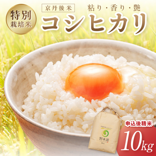 2026年産 京丹後米 特別栽培米コシヒカリ 10kg（白米） 注文後精米 米 京丹後 特別栽培米 農家直送 米 こめ ふるさと 納税 コシヒカリ 精米 ふるさと 納税 こしひかり ふるさと 納税 米 精米 京都産 京丹後 野木源 2863788 - 京都府京丹後市