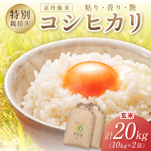 2026年産 京丹後米 特別栽培米コシヒカリ 20kg（玄米） 玄米 ふるさと納税 米 お米 ご飯 ごはん コシヒカリ 京丹後産 2863789 - 京都府京丹後市