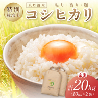 2026年産 京丹後米 特別栽培米コシヒカリ 20kg（玄米） 玄米 ふるさと納税 米 お米 ご飯 ごはん コシヒカリ 京丹後産