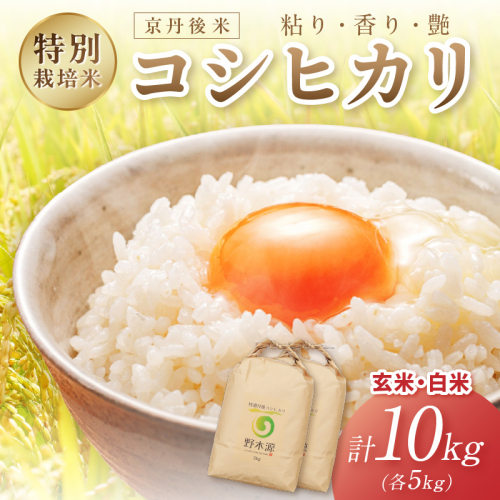 2026年産 京丹後米 特別栽培米コシヒカリ 玄米・白米 各5kg 白米 玄米 ふるさと納税 米 精米 お米 ご飯 ごはん コシヒカリ 京丹後産 2863790 - 京都府京丹後市