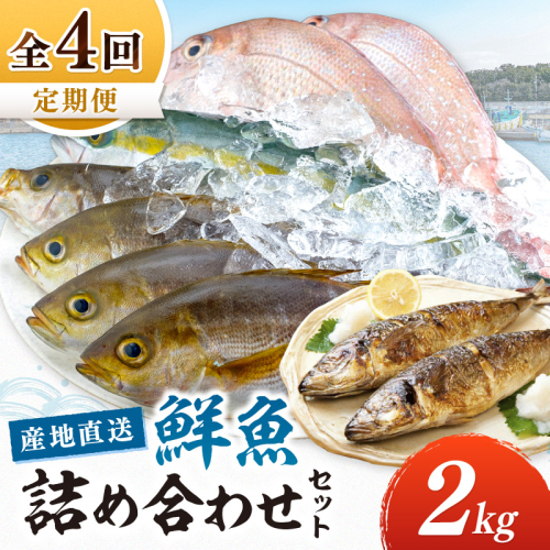 御坊産鮮魚セット 2kg 【定期便】(年4回お届け) 2863824 - 和歌山県御坊市