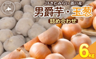 ＪＡきたみらい男爵芋・玉葱詰め合わせ 計6kg 【 ふるさと納税 人気 おすすめ ランキング いも 芋 イモ じゃがいも ジャガイモ 男爵イモ 男爵いも 男爵芋 玉ねぎ たまねぎ 北海道 置戸町 送料無料 】 OTC004