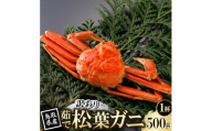 ＜先行予約＞鳥取県産 訳あり 茹 松葉がに 500g×1杯(中村商店)2026年11月発送【1779420】