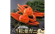 ＜先行予約＞鳥取県産 訳あり 茹 松葉がに 500g×2杯(中村商店)2026年11月発送【1779424】