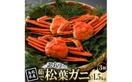 ＜先行予約＞鳥取県産 訳あり 茹 松葉がに 500g×3杯(中村商店)2026年11月発送【1779428】